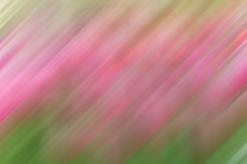 closeup of pink flower