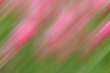 pink and green background