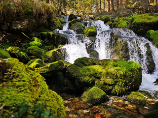 rivière en forêt - fraicheur