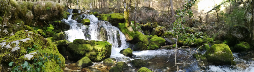 rivière en forêt - fraicheur