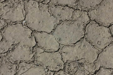 Ground