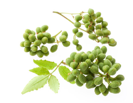 山椒 の画像 144 735 件の Stock 写真 ベクターおよびビデオ Adobe Stock