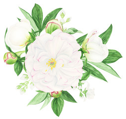 Compositions with white peonies and jasmine flowers, watercolor painting.