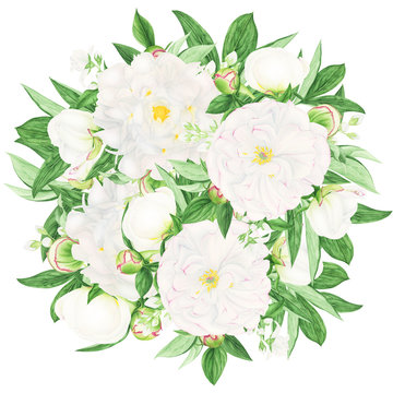 Compositions with white peonies and jasmine flowers, watercolor painting. For wedding invitation.