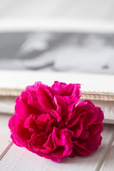 Purple rose with a photograph in a wedding album in the background.  On white wood slatted surface