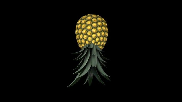 3D pineapple spins on a black background