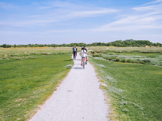 Back view cyclists family traveling on the road in the dune area of Schiermonnikoog island. Active family sport. Summer travel and vacation concept