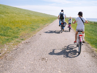 Fototapeta premium Back view cyclists family traveling on the road in the dune area of Schiermonnikoog island. Active family sport. Summer travel and vacation concept