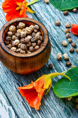 Seeds, and flowers of nasturtium