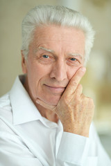 Portrait of beautiful smiling senior man posing