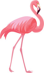 Pink flamingo on a white background. Vector illustration.