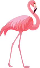 Muurstickers Roze flamingo op een witte achtergrond. Vector illustratie. © Tayisiya