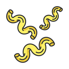 Cavatappi color icon