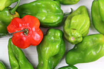 Small red and green peppers on white background