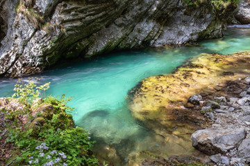 hiking in scenic valley of vintgar gorge in slovenia