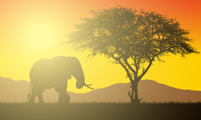 Fototapeta na wymiar Realistic illustration of African landscape with safari, tree and elephant under orange sky with rising sun. Sunshine and sunbeam, vector