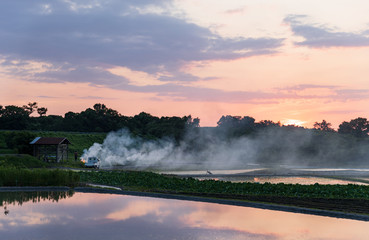 Smoke rises from small controlled burn next to flooded rice fields at sunset