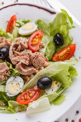 Fresh salad with iceberg lettuce,tomatoes,eggs,canned tuna and olives