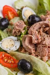 Fresh salad with iceberg lettuce,tomatoes,eggs,canned tuna and olives