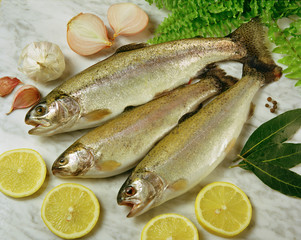 Trouts.
