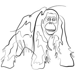 Monkey Orangutan one line drawing. Line Art Ape Animal Vector Illustration © kunzegraphics