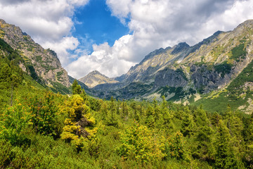 Fototapeta na wymiar Tourist route in summer High Tatra mountains, scenic landscape with rocks, green trees and blue cloudy sky, outdoor travel background, Strbske Pleso region, Slovakia (Slovensko)