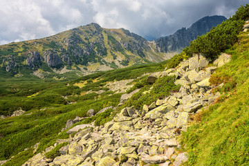 Fototapeta na wymiar Tourist route in summer High Tatra mountains, scenic landscape with rocks, green grass and dramatic cloudy sky, outdoor travel background, Strbske Pleso region, Slovakia (Slovensko)