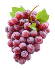 Ripe red grape with drops. grapes isolated on white. With clipping path. Full depth of field.