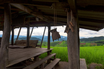 Beautiful terrace rice fields in Mae chaem, Chaing Mai, Thailand, background.