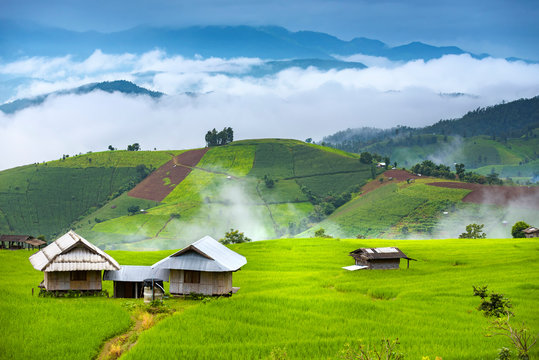 Terrace rice field of Ban pa bong piang in Chiangmai, Thailand.