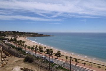 Fototapeta na wymiar Bord de mer avec plage de sable, route ombragée par des palmiers et ciel bleu.