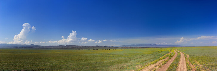 Panorama of the blooming steppe. The road, the mountains on the horizon, the clouds.