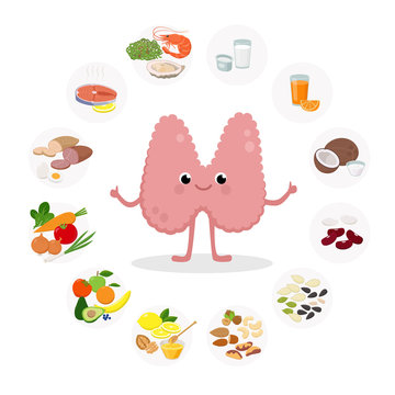 Cute Thyroid Gland Cartoon character vector illustration and Healthy Food for the thyroid health - set of icons in flat design isolated on white background. Medical Infographic elements.