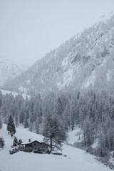 Fototapeta premium Winter snow day