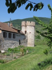 Fototapeta premium Kientzheim