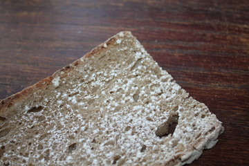 Schimmel auf dem Brot