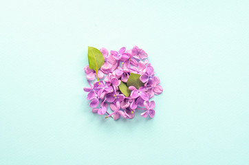Lilac flowers and leaves in the shape of a square on a mint background.