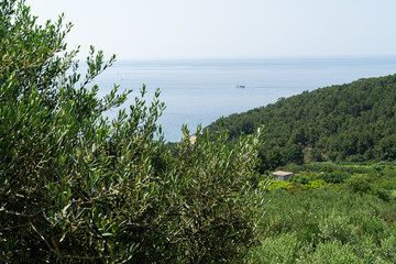 The island of Hvar