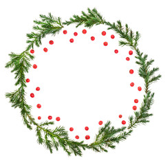 Winter and Christmas juniper fir wreath with loose red holly berries on white background with copy...