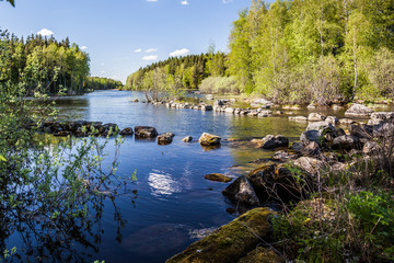 Summer landscape - lake on a Sunny summer day