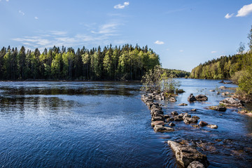 Summer landscape - lake on a Sunny summer day