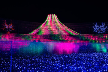 Nabana No Sato winter illumination in Mie, Japan