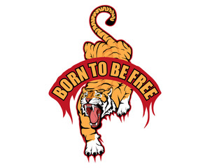 typography slogan born to be free with tiger illustration, used for printing on t shirt, vector graphics to design