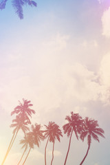 Fototapeta na wymiar Coconut palm trees on ocean beach. Tropical coast palms vintage stylized with film light flare leaks.