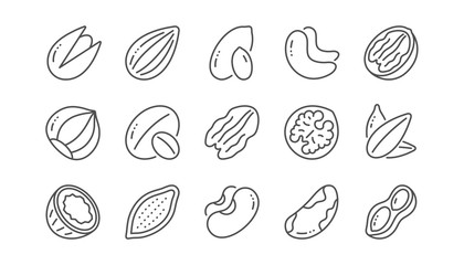 Fototapeta na wymiar Nuts and seeds line icons. Hazelnut, Almond nut and Peanut. Sunflower seeds, Brazil nut, Pistachio icons. Walnut, Coconut and Cashew nuts. Linear set. Vector