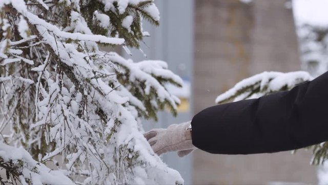 Slow-motion shot of a woman's hand with gloves playing with a tree branch with snow on it. Snow falling down.
Shot on Red Monster 8K. In 4K