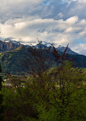 Monte Avena