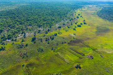 Foto op Aluminium Kasanka National Park, Serenje, Provincia central, Zambia, Africa © JUAN CARLOS MUNOZ