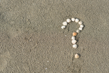 sea shells forming a question mark on a sandy beach. Concept of faq, travel tips and travel...