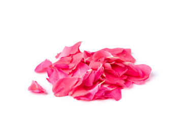 Pink rose petals isolated on white background.